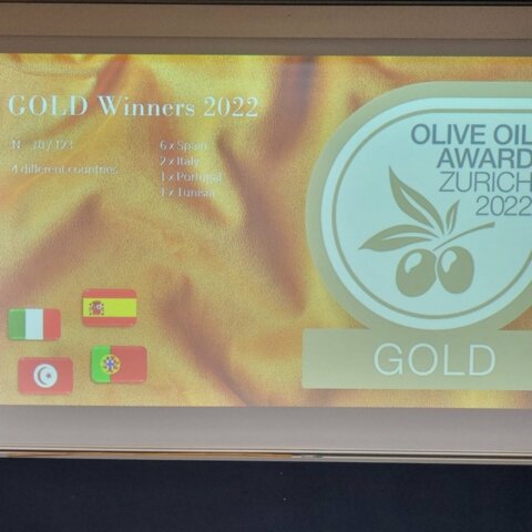 Gold medal for Tunisian olive oil at the Zurich Olive Oil Award ZOOA 