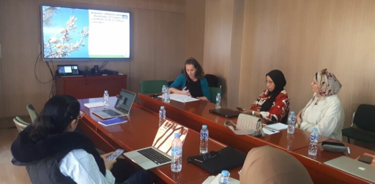 Image_2_Morocco_Fairwild