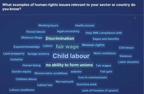 Human Rights Due Diligence
