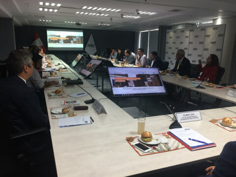 ADEX and PROMPERU hold coordination meetings with SERFOR for the implementation of the Peruvian wood sector website
